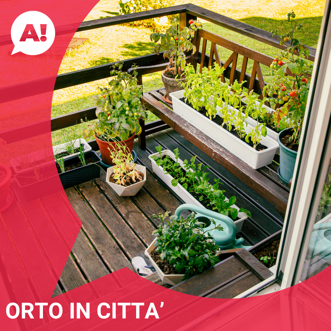 Corso «Orto in città» ad Arci Bra, Bra (CN)