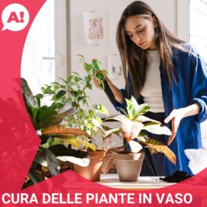Corso «Cura delle piante in vaso» ad Arci Bra, Bra (CN)